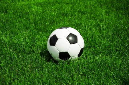 球探篮球比分数据分析图表